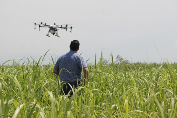 curso teorico practico drones sts mallorca